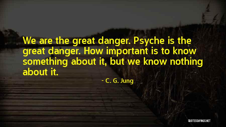 Stupid And Futile Quotes By C. G. Jung Stupid And Futile Quotes By C. G. Jung