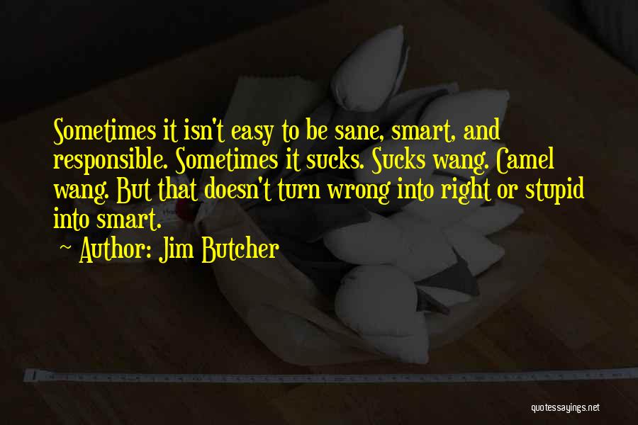 Stupid And Smart Quotes By Jim Butcher
