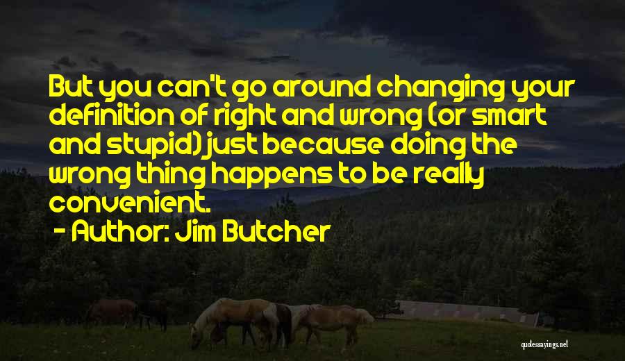 Stupid And Smart Quotes By Jim Butcher