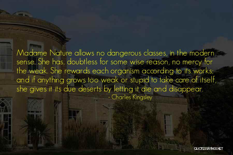 Stupid And Wise Quotes By Charles Kingsley Stupid And Wise Quotes By Charles Kingsley