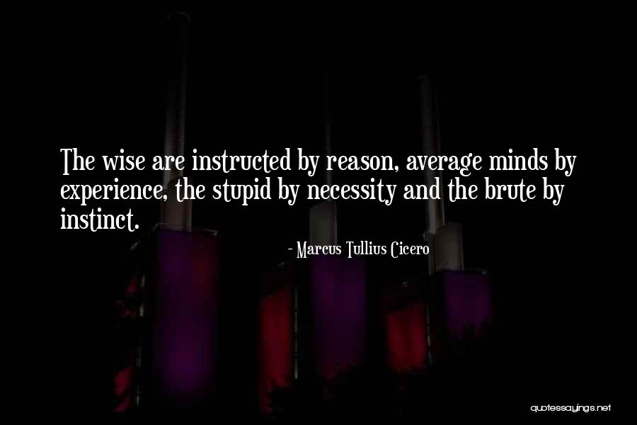 Stupid And Wise Quotes By Marcus Tullius Cicero Stupid And Wise Quotes By Marcus Tullius Cicero