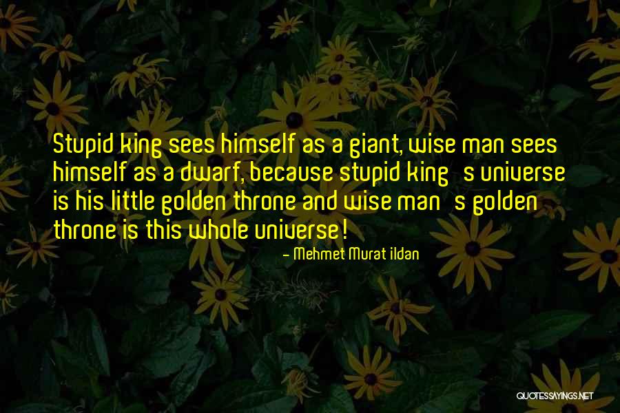 Stupid And Wise Quotes By Mehmet Murat Ildan Stupid And Wise Quotes By Mehmet Murat Ildan