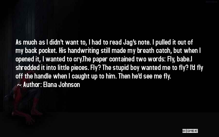 Stupid Boy Quotes By Elana Johnson