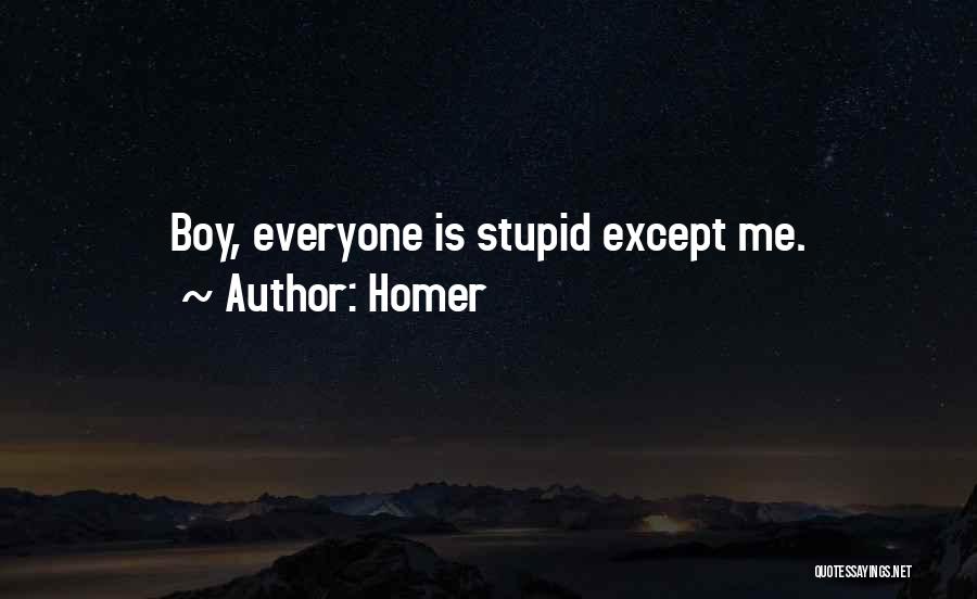 Stupid Boy Quotes By Homer