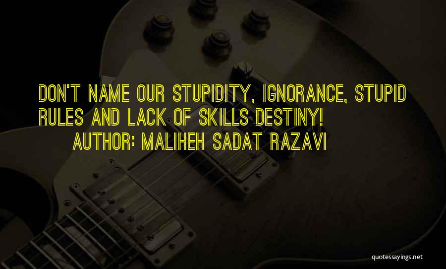 Stupid But Inspirational Quotes By Maliheh Sadat Razavi