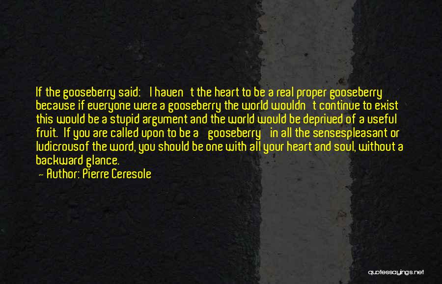 Stupid But Inspirational Quotes By Pierre Ceresole