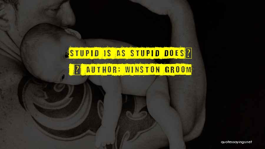 Stupid But Inspirational Quotes By Winston Groom