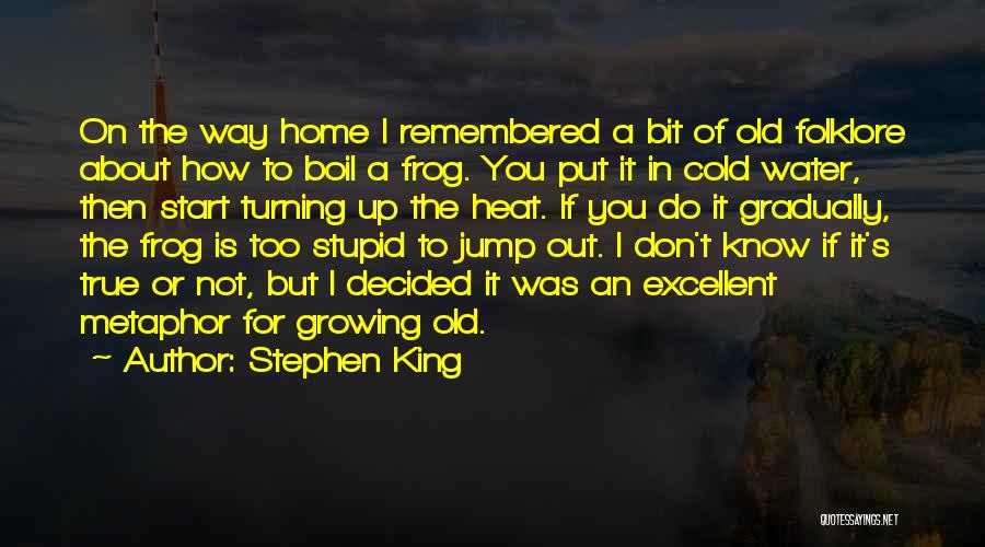 Stupid But True Quotes By Stephen King