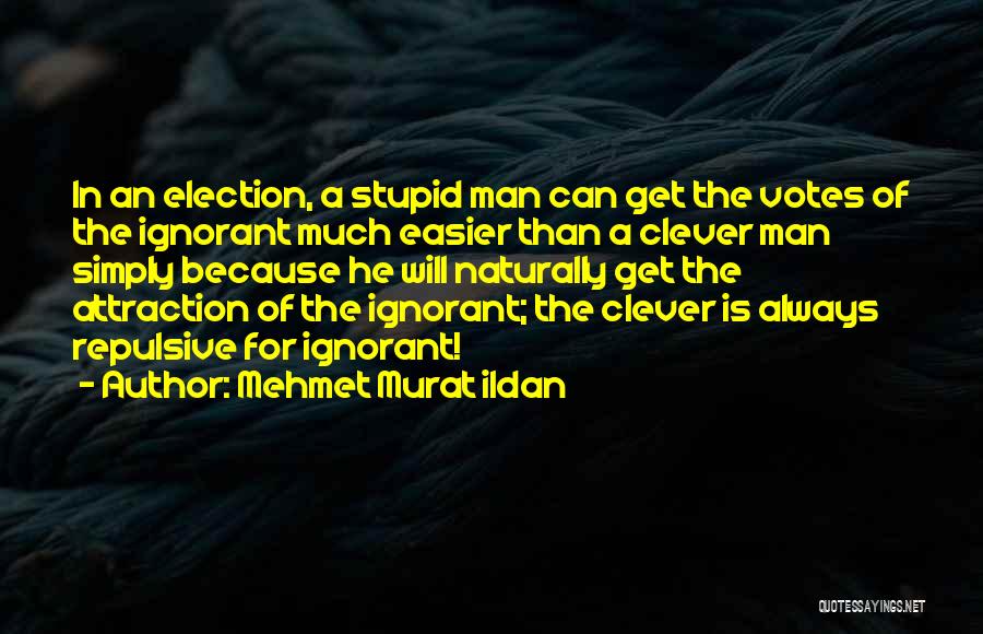 Stupid Clever Quotes By Mehmet Murat Ildan
