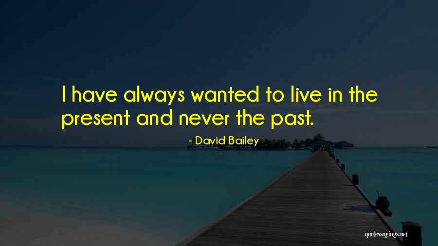 Stupid Cliches Quotes By David Bailey Stupid Cliches Quotes By David Bailey