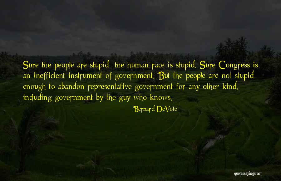 Stupid Congress Quotes By Bernard DeVoto