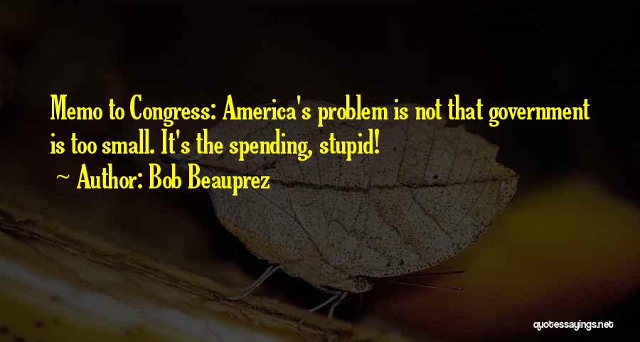 Stupid Congress Quotes By Bob Beauprez
