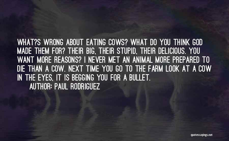 Stupid Cows Quotes By Paul Rodriguez