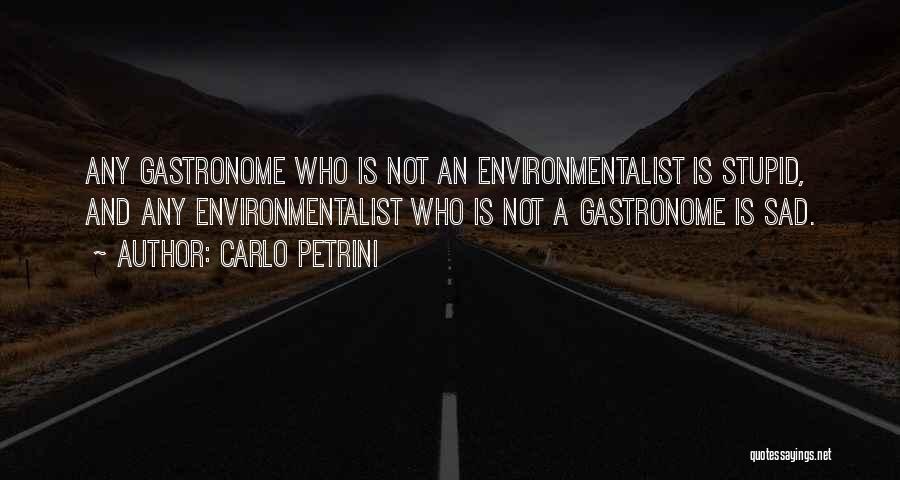 Stupid Environmentalist Quotes By Carlo Petrini