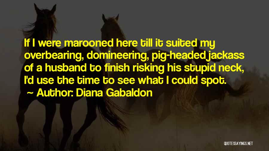 Stupid Ex Husband Quotes By Diana Gabaldon