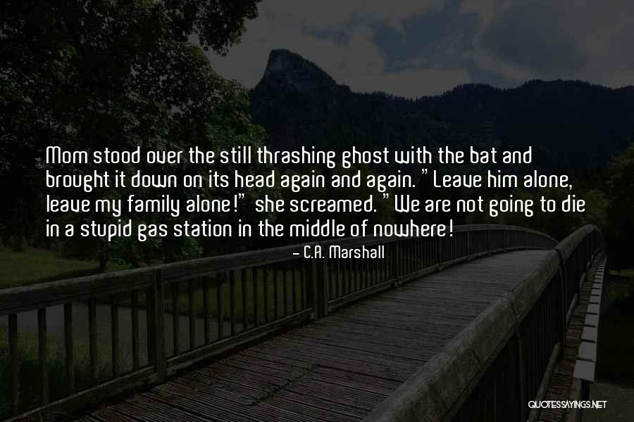 Stupid Family Quotes By C.A. Marshall Stupid Family Quotes By C.A. Marshall