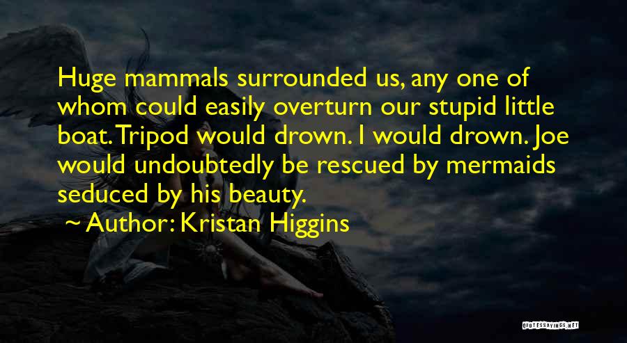 Stupid Fools Quotes By Kristan Higgins