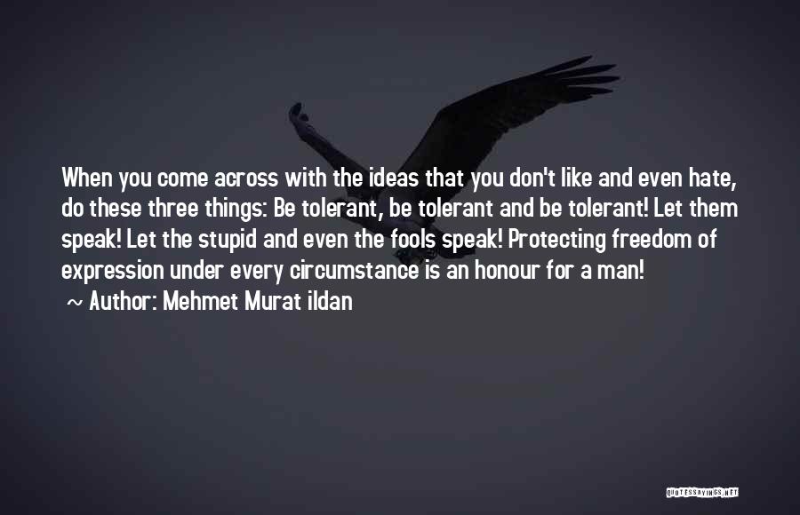 Stupid Fools Quotes By Mehmet Murat Ildan