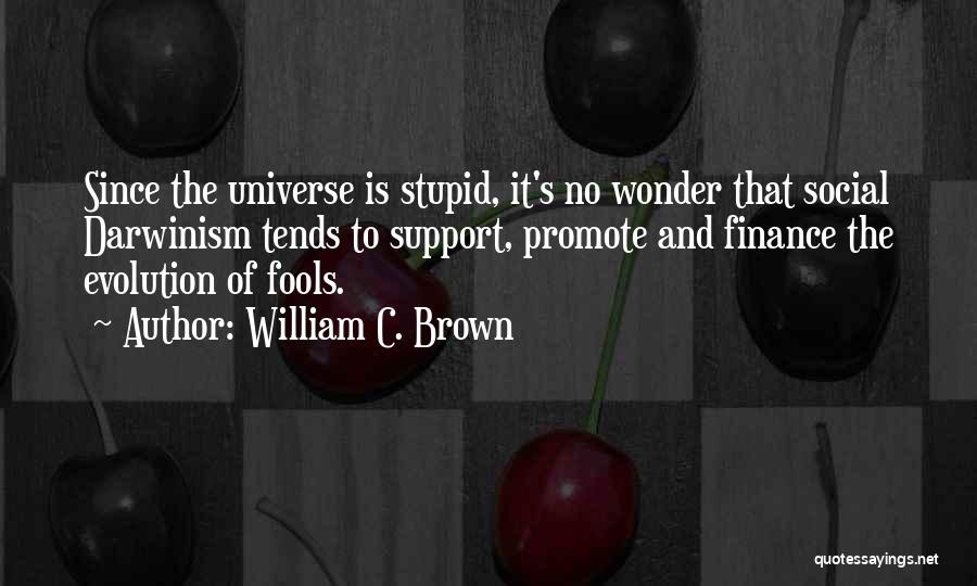 Stupid Fools Quotes By William C. Brown