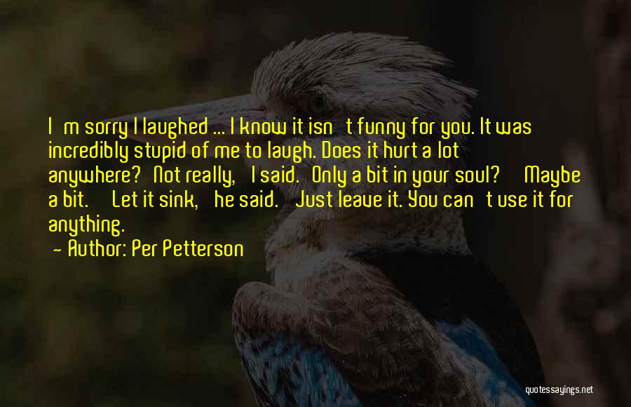 Stupid Funny Quotes By Per Petterson