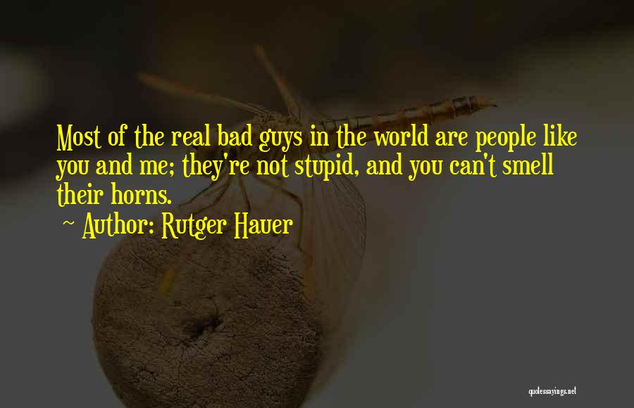 Stupid Guys Quotes By Rutger Hauer