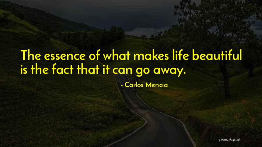 Stupid Hillary Quotes By Carlos Mencia Stupid Hillary Quotes By Carlos Mencia
