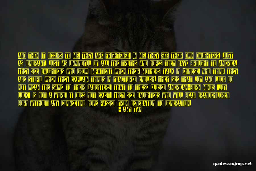 Stupid Is As Stupid Does Quotes By Amy Tan Stupid Is As Stupid Does Quotes By Amy Tan