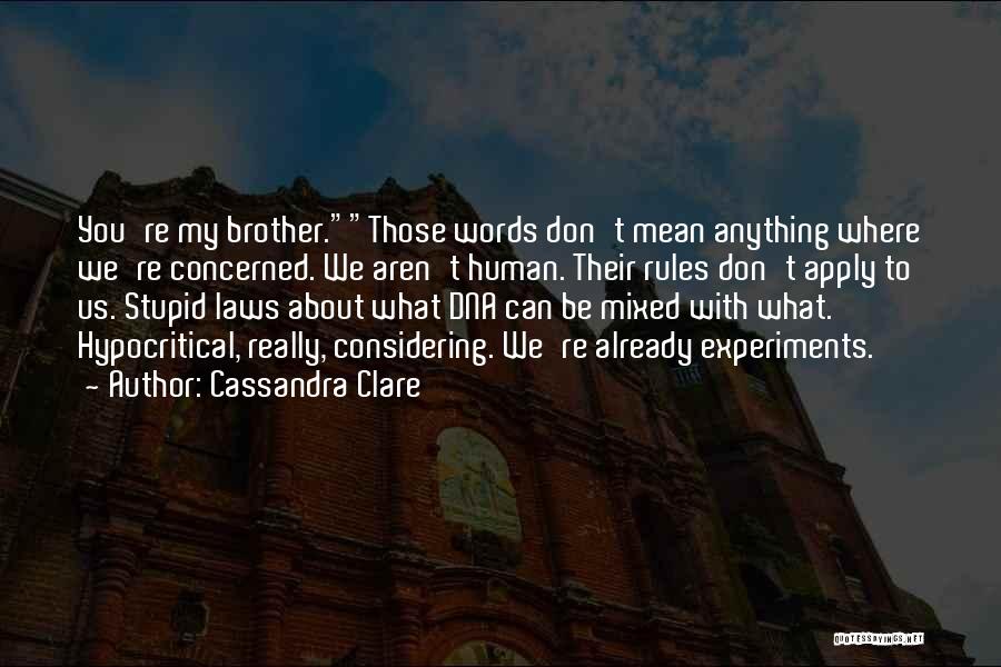 Stupid Laws Quotes By Cassandra Clare