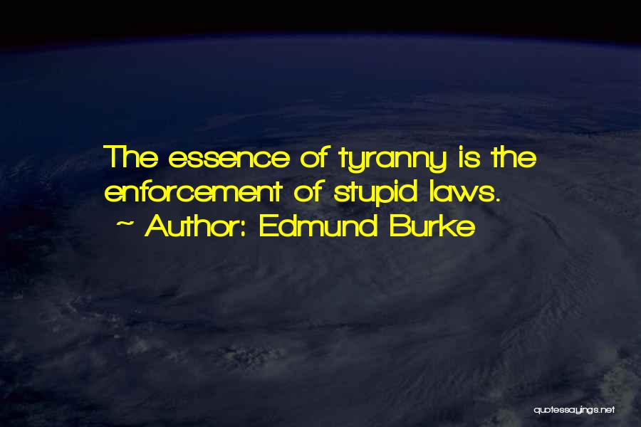 Stupid Laws Quotes By Edmund Burke