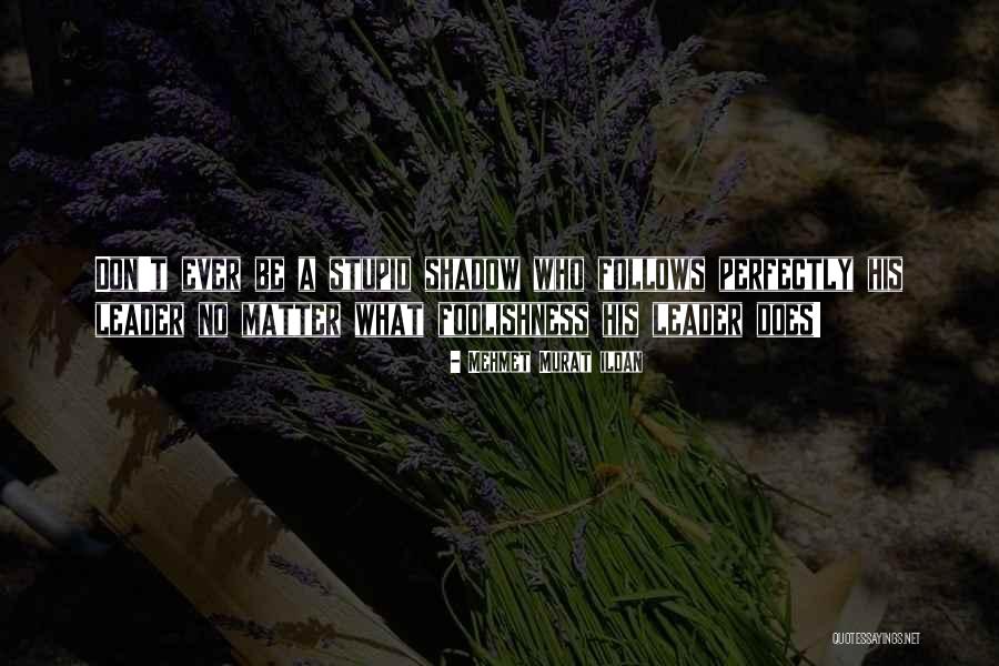 Stupid Leaders Quotes By Mehmet Murat Ildan Stupid Leaders Quotes By Mehmet Murat Ildan