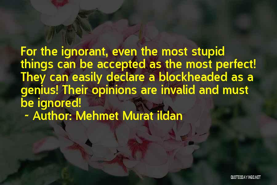 Stupid Opinions Quotes By Mehmet Murat Ildan