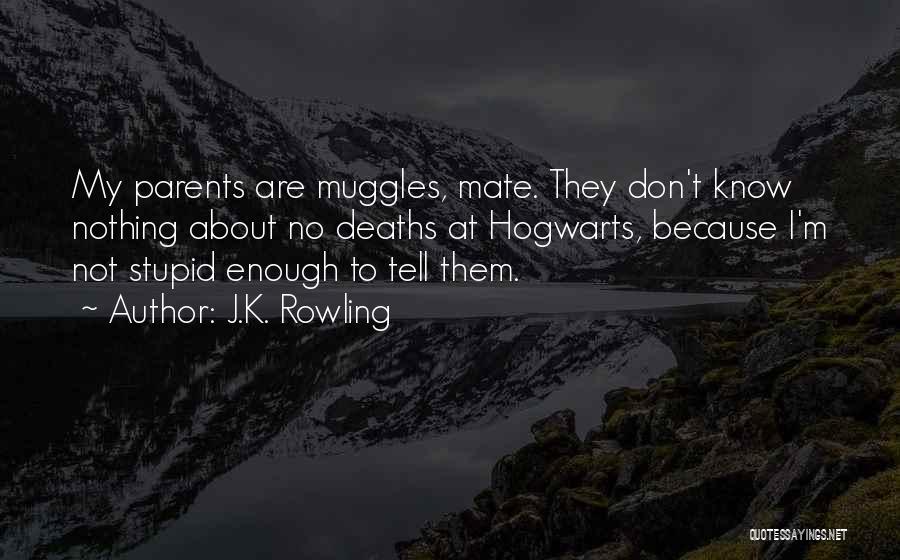 Stupid Parents Quotes By J.K. Rowling