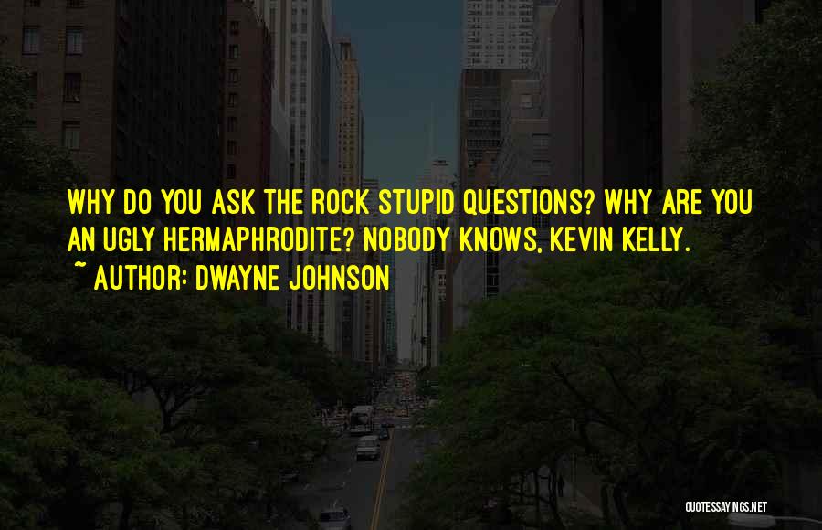 Stupid Questions Quotes By Dwayne Johnson