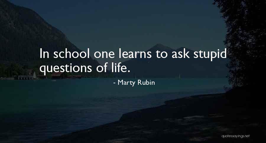 Stupid Questions Quotes By Marty Rubin