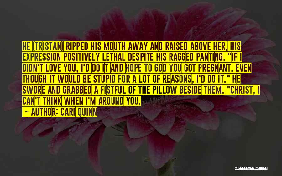 Stupid Reasons Quotes By Cari Quinn