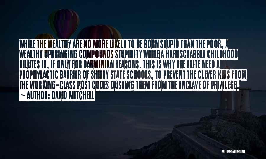 Stupid Reasons Quotes By David Mitchell