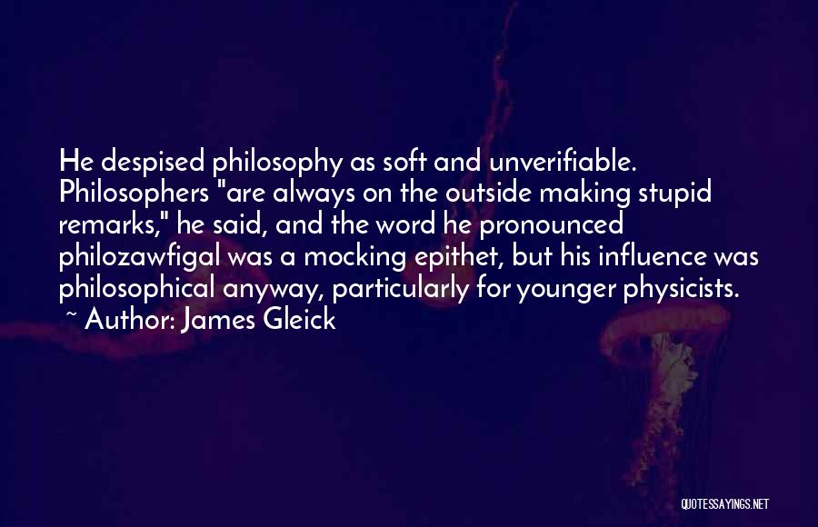 Stupid Remarks Quotes By James Gleick