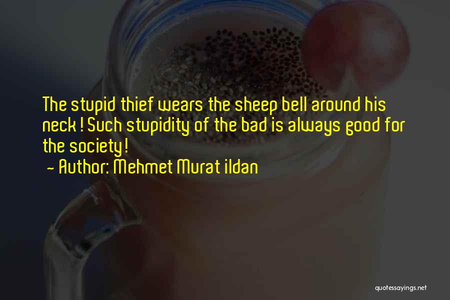 Stupid Thief Quotes By Mehmet Murat Ildan