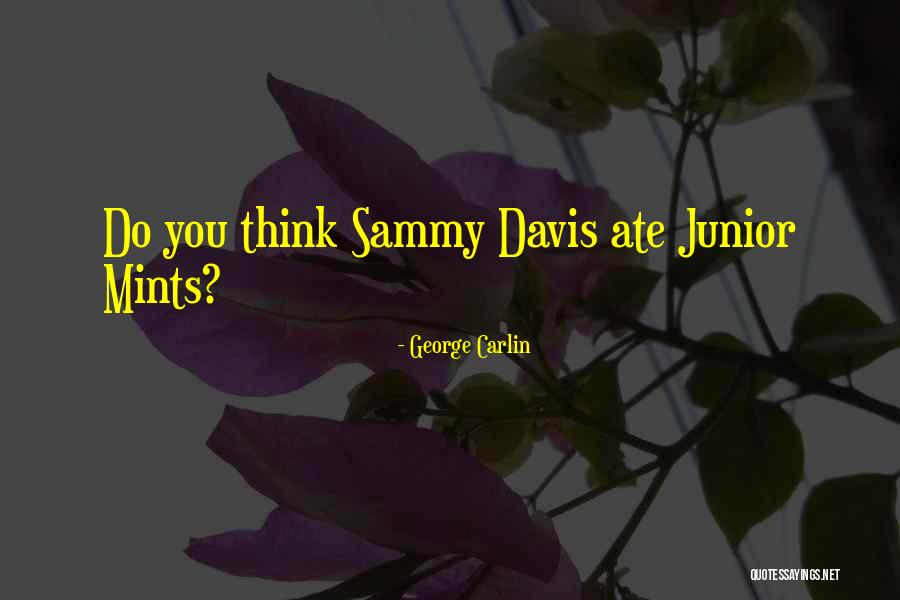 Stupid Thinking Quotes By George Carlin Stupid Thinking Quotes By George Carlin