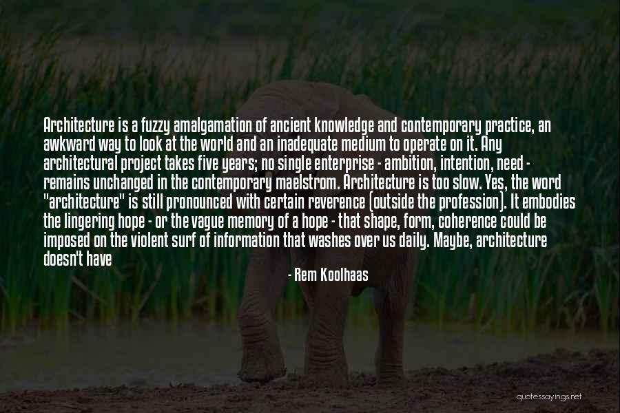 Stupid Thinking Quotes By Rem Koolhaas Stupid Thinking Quotes By Rem Koolhaas