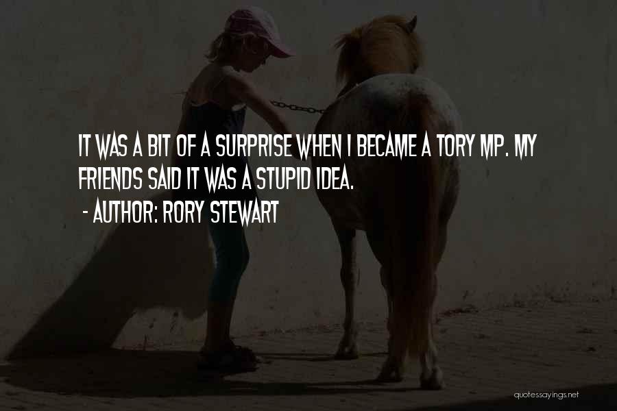 Stupid Tory Quotes By Rory Stewart