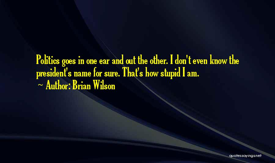 Stupid Us President Quotes By Brian Wilson