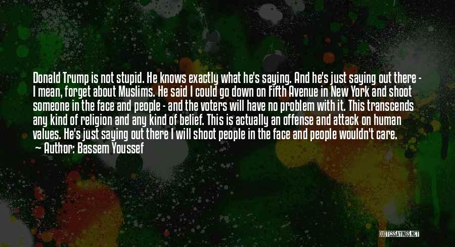 Stupid Voters Quotes By Bassem Youssef