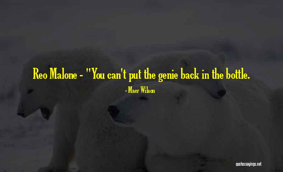Stupid White Men Quotes By Maer Wilson