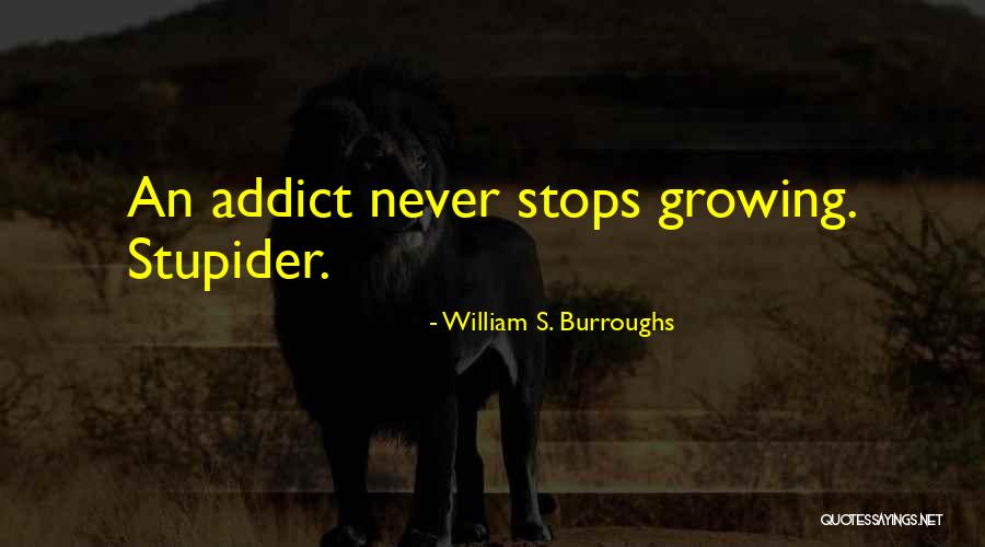 Stupider Quotes By William S. Burroughs Stupider Quotes By William S. Burroughs