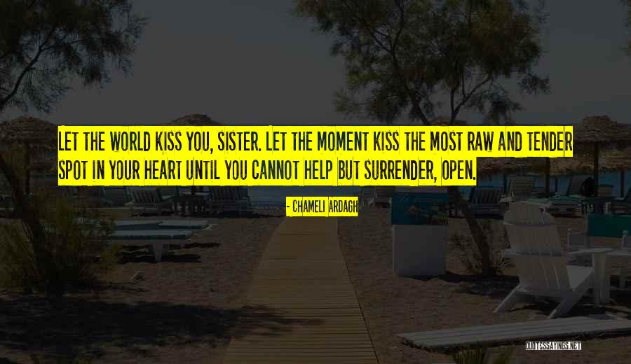 Stupider Synonym Quotes By Chameli Ardagh Stupider Synonym Quotes By Chameli Ardagh