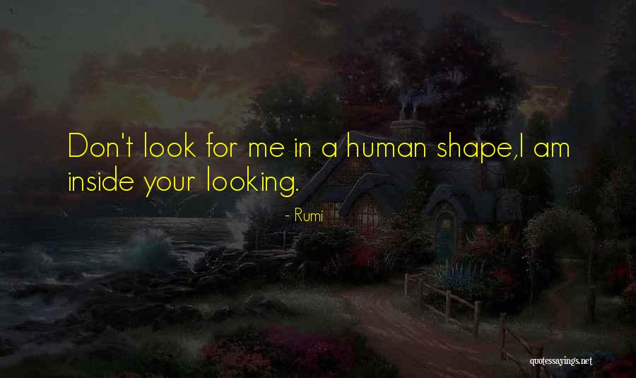 Stupidest Names Quotes By Rumi Stupidest Names Quotes By Rumi