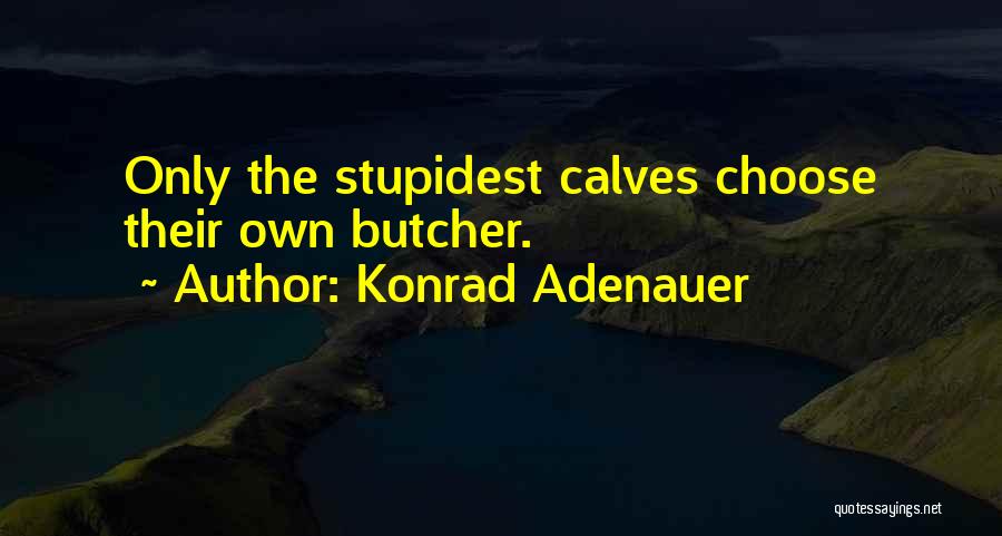 Stupidest Quotes By Konrad Adenauer
