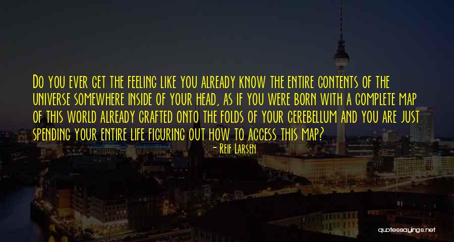 Stupidities Plural Quotes By Reif Larsen Stupidities Plural Quotes By Reif Larsen