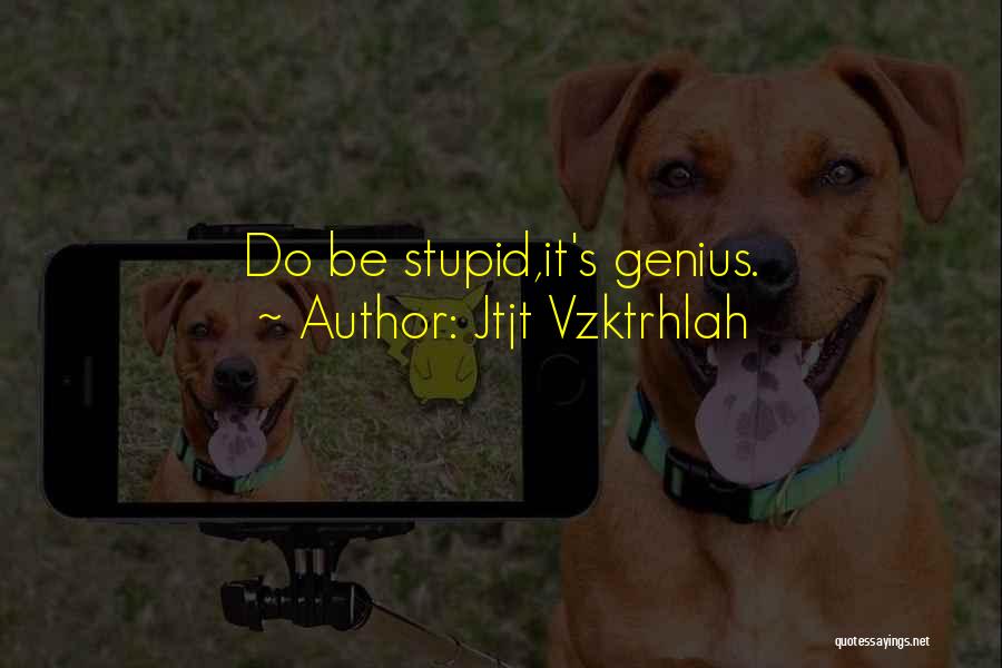 Stupidity And Genius Quotes By Jtjt Vzktrhlah